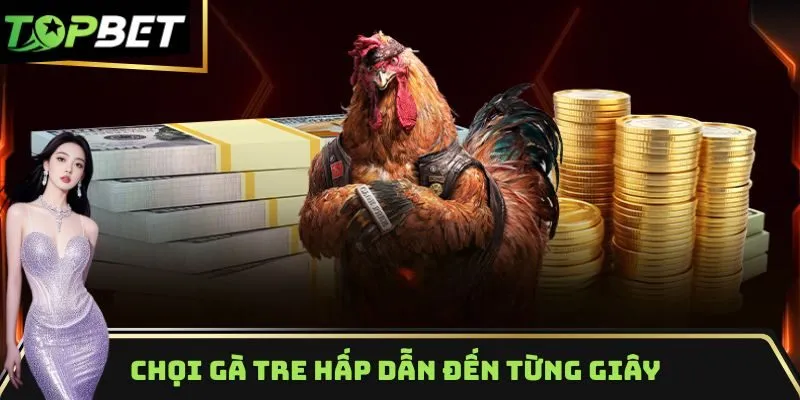 Chọi gà tre hấp dẫn đến từng giây