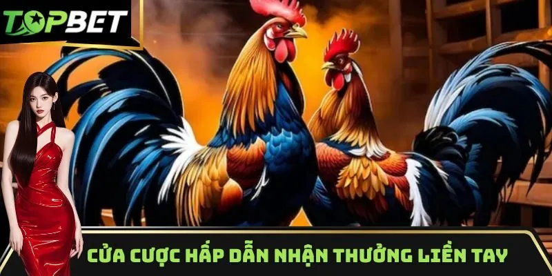 Cửa cược hấp dẫn nhận thưởng liền tay