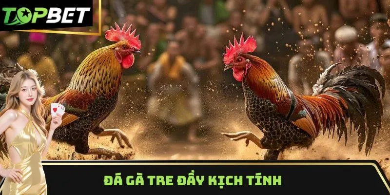 Đôi nét về loại hình đá gà tre đầy kịch tính